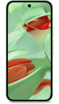 Google Pixel 9 256GB Wintergreen