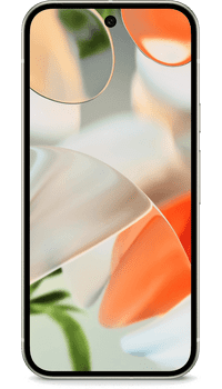 Google Pixel 9 256GB Porcelain