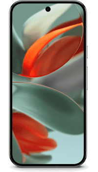 Google Pixel 9 Pro 512GB Hazel